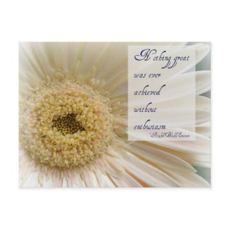 Pink Gerbera Enthusiasm Post Card postcard