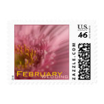 Pink Gerbera • February Wedding Stamp