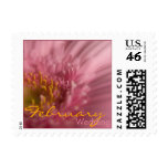 Pink Gerbera • February Wedding Stamp