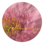 Pink Gerbera • February Wedding Sticker
