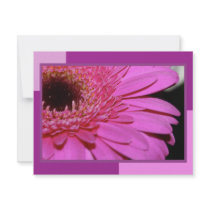 Pink Gerbera invitations by bigspl Pink Gerbera invitations