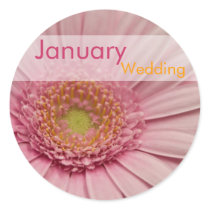 Pink Gerbera • January Wedding Sticker by SabineStGreetings Pink Gerbera • January Wedding Sticker