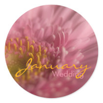 Pink Gerbera • January Wedding Sticker by SabineStGreetings Pink Gerbera • January Wedding Sticker