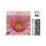 Pink Gerbera • June Wedding Stamp
