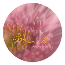 Pink Gerbera • March Wedding Sticker by SabineStGreetings Pink Gerbera • March Wedding Sticker