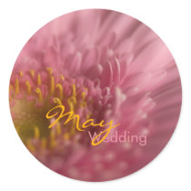 Pink Gerbera • May Wedding Sticker by SabineStGreetings Pink Gerbera • May Wedding Sticker