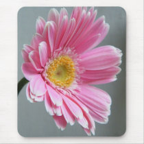 Pink Gerbera mousepads