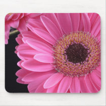 Pink Gerbera Mousepads