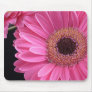 Pink Gerbera Mousepads