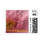 Pink Gerbera • November Wedding Stamp