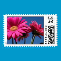 Pink Gerbera Postage Stamp stamps