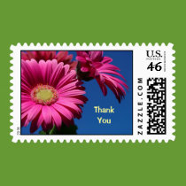 Pink Gerbera Postage Stamp - thank you