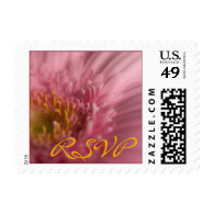 Pink Gerbera • RSVP Stamp