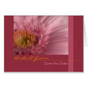 Pink Gerbera Save the Date Card by SabineStGreetings Pink Gerbera Save the Date Card