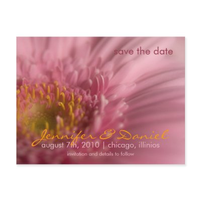 Pink Gerbera Save the Date Postcard