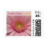Pink Gerbera • September Wedding Stamp