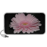 pink gerbera speaker speakers