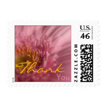 Pink Gerbera • Thank You Stamp
