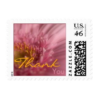Pink Gerbera • Thank You Stamp stamp