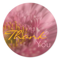 Pink Gerbera • Thank You Sticker by SabineStGreetings Pink Gerbera • Thank You Sticker