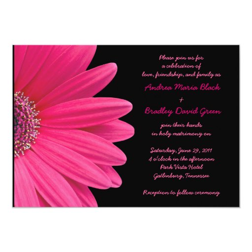 gerbera wedding invitations pink gerbera wedding invitation pink and black zazzle gerbera wedding invitations pink gerbera wedding invitation pink and black zazzle