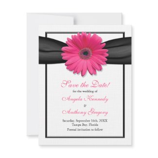 Pink Gerbera with Black Ribbon Save the Date Card invitation