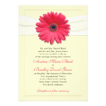 Pink Gerbera with Ivory Ribbon Invitation