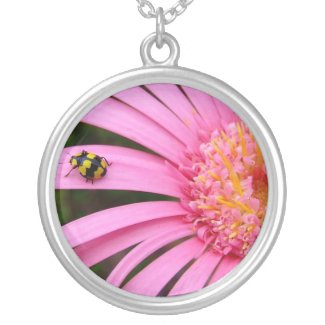 http://rlv.zcache.com/pink_gerbera_with_ladybug_necklace-p177403213172552738xfw45_325.jpg