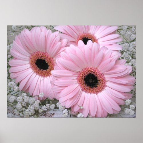 Pink Gerberas Print print