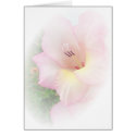 Pink gladiola cards