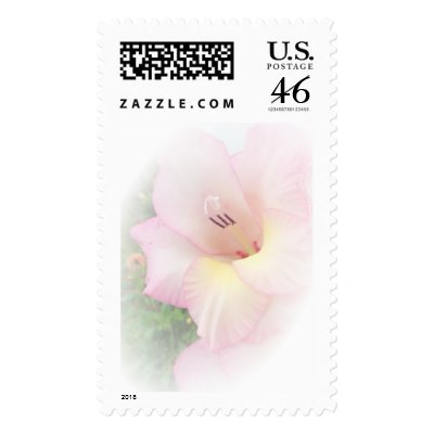 Pink gladiola stamp