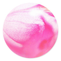 Pink Globe stickers