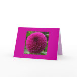 card, greeting, postcard, post card, mail, magnet,