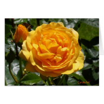 "Pink Gold Rose Bud" Notes cards