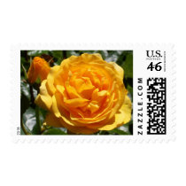 "Pink Gold Rose Bud" Stamps by CaroleArt "Pink Gold Rose Bud" Stamps