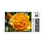 "Pink Gold Rose Bud" Stamps
