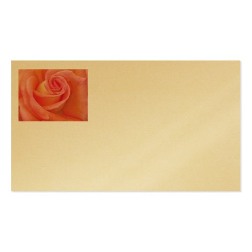pink/gold rose business card