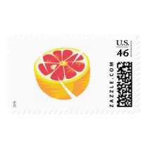 pink grapefruit postage by doonidesigns pink grapefruit postage