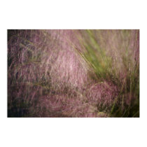 Pink Grass posters