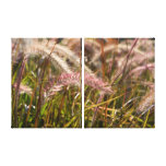 Pink Grasses Canvas Print