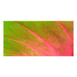 pink green leaf picture card