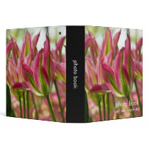 Pink & Green Variegated Tulips DSC0796 binders