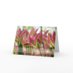 Pink & Green Variegated Tulips DSC0796 Greeting Card