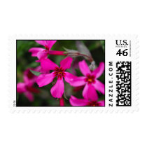 Pink Ground Flowers postage