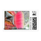 Pink Gum Flower stamp