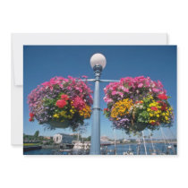 Pink Hanging flowers, Victoria flowers Custom Invitations