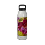 Pink Hawaiian Painted  Hibiscus Water Bottle