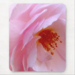 Pink Heritage Rose Mouse Pad mousepads