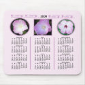 PINK HIBISCUS  2008 CALENDAR mousepads