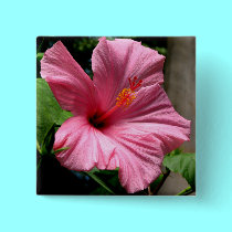 Pink Hibiscus 2 buttons by Artists4God Pink Hibiscus 2 buttons